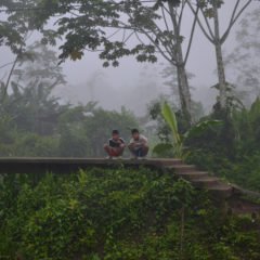 Lo que esconde la vegetación de Chocó